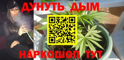 jwh Гусев
