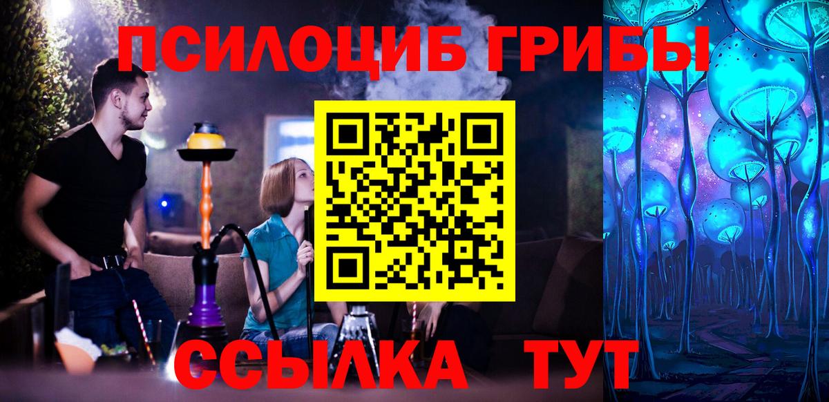 Новочебоксарск  Галлюциногенные грибы MAGIC MUSHROOMS  Вход с VPN  Псилоцибиновые грибы мухоморы 